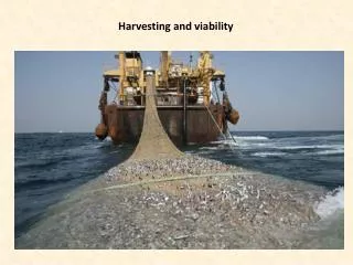 Harvesting and viability