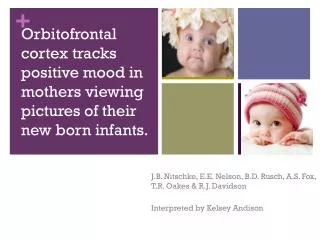 Orbitofrontal cortex tracks positive mood in mothers viewing pictures of their new born infants.