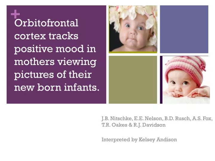 orbitofrontal cortex tracks positive mood in mothers viewing pictures of their new born infants
