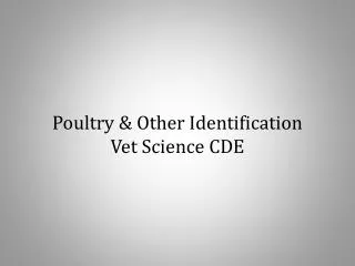 Poultry &amp; Other Identification Vet Science CDE