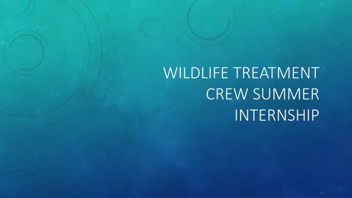 wildlife treatment crew summer internship