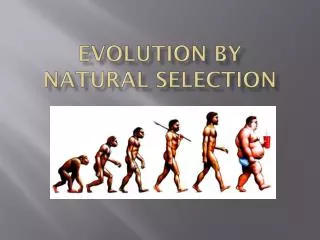 Evolution by Natural Selection