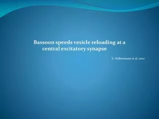 Bassoon speeds vesicle reloading at a central excitatory synapse