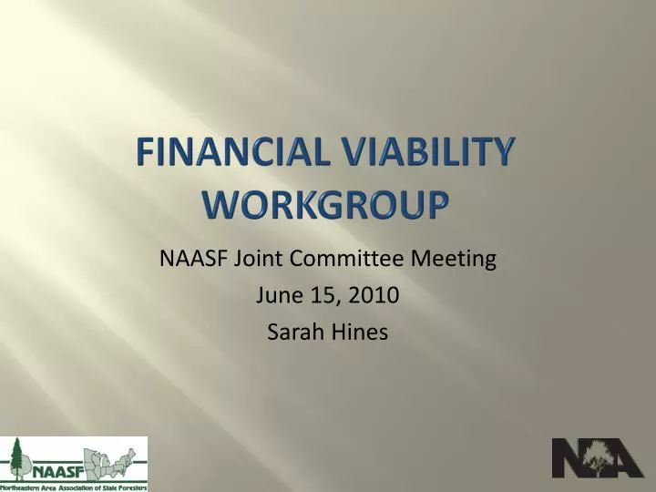 financial viability workgroup