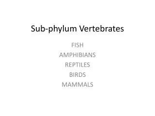 Sub-phylum Vertebrates