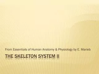 THE Skeleton System II