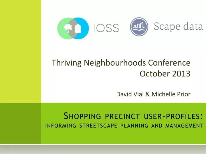 shopping precinct user profiles informing streetscape planning and management