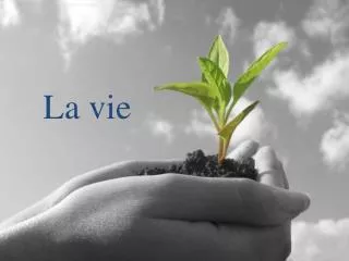 la vie