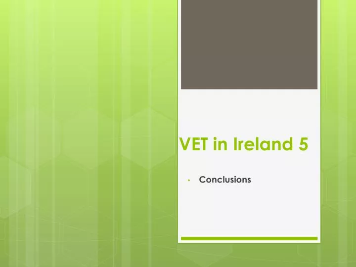 vet in ireland 5