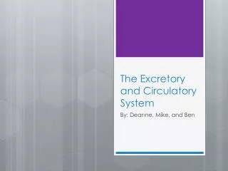 The Excretory and Circulatory System