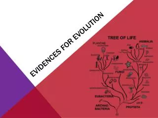 Evidences for Evolution