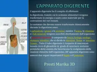 l apparato digerente