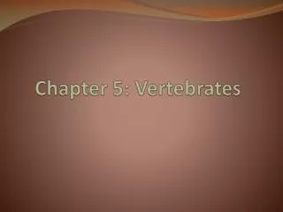 Chapter 5: Vertebrates