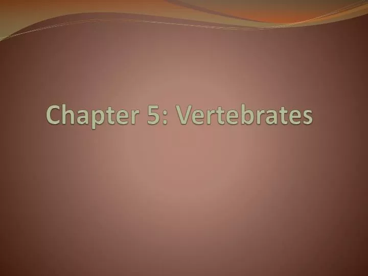 chapter 5 vertebrates