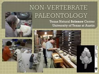 non vertebrate paleontology
