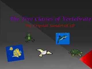 The Five Classes of Vertebrate