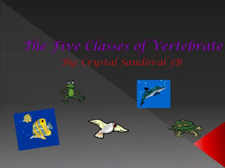 the five classes of vertebrate