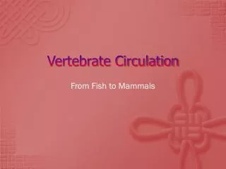 Vertebrate Circulation