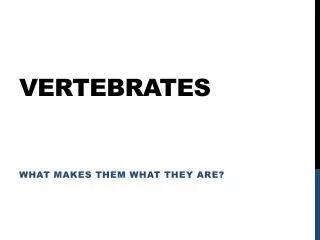 vertebrates