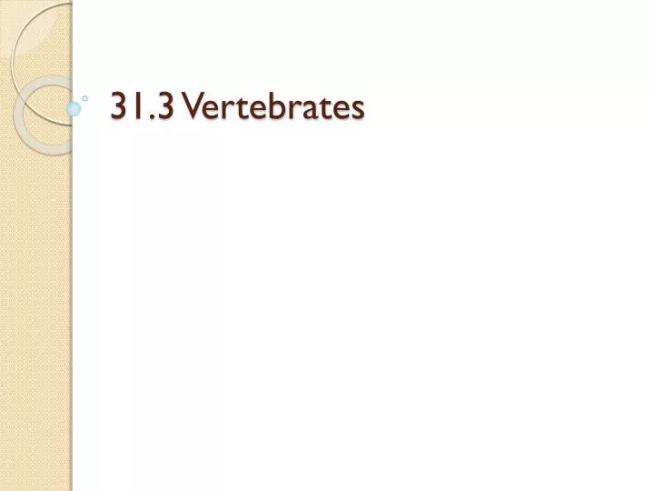 31 3 vertebrates