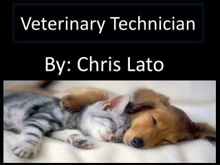 veterinary technician