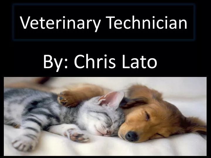 veterinary technician