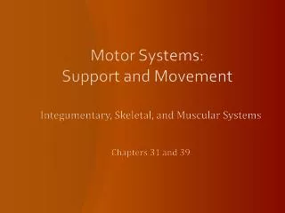 Motor Systems: Support and Movement