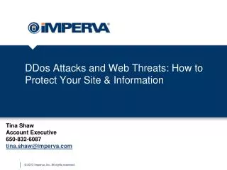 DDos Attacks and Web Threats: How to Protect Your Site &amp; Information