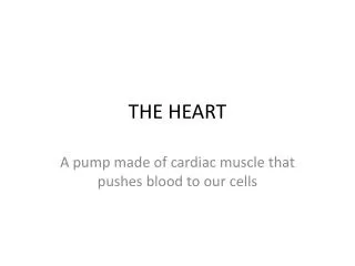 the heart