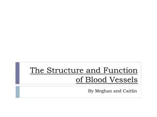 the structure and function of blood v essels