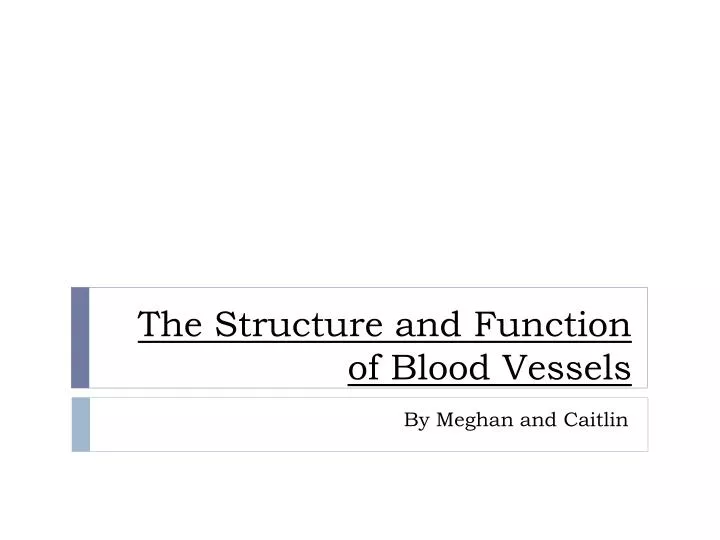 the structure and function of blood v essels