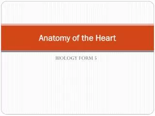 Anatomy of the Heart