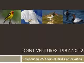 Joint Ventures 1987-2012