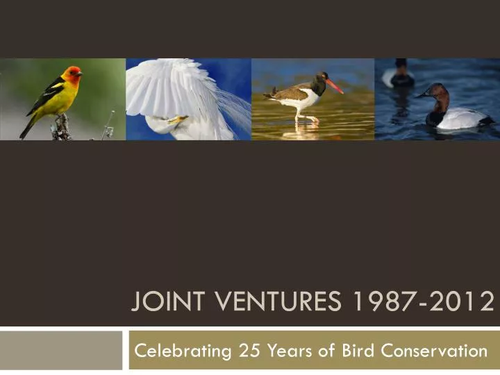 joint ventures 1987 2012