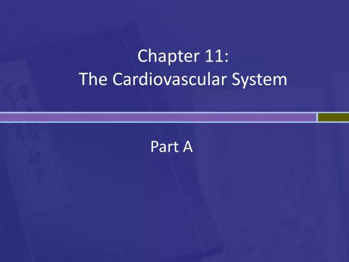 chapter 11 the cardiovascular system