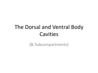 The Dorsal and Ventral Body Cavities