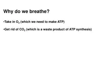 Why do we breathe? Take in O 2 (which we need to make ATP)