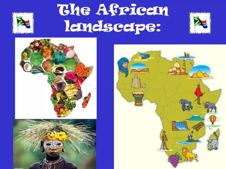 the african landscape