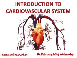 INTRODUCTION TO CARDIOVASCULAR SYSTEM