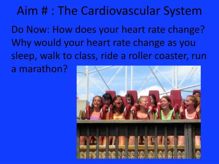 aim the c ardiovascular system