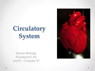 Circulatory System