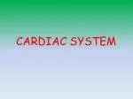 CARDIAC SYSTEM - slide 1