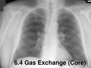 6.4 Gas Exchange (Core)