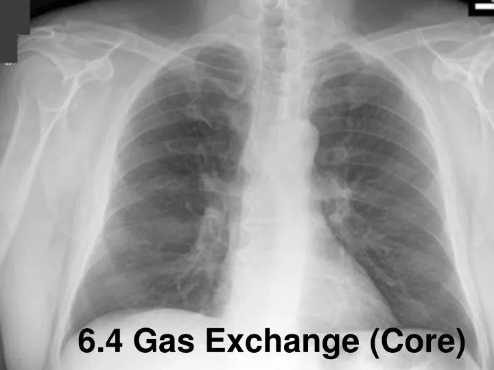 6 4 gas exchange core