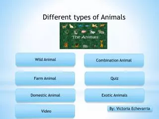 Different types of Animals