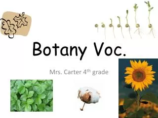Botany Voc.