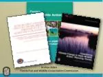 Andrea Alden Florida Fish and Wildlife Conservation Commission - slide 1