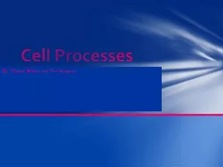cell processes