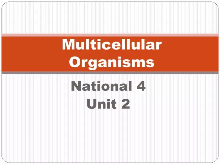 multicellular organisms