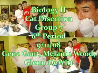 Biology II Cat Disection Group 7 6 th Period 9/11/08 Gene Gant, Melanie Wood, Glenn DeWitt